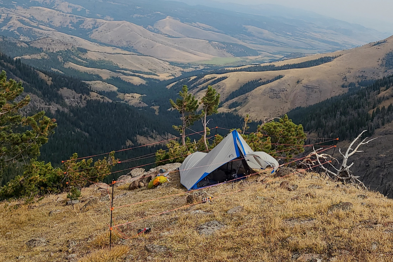 How to Choose Your Bearwatch Systems Fence: Sizes, Coverage, and the Right Fit for Your Camp