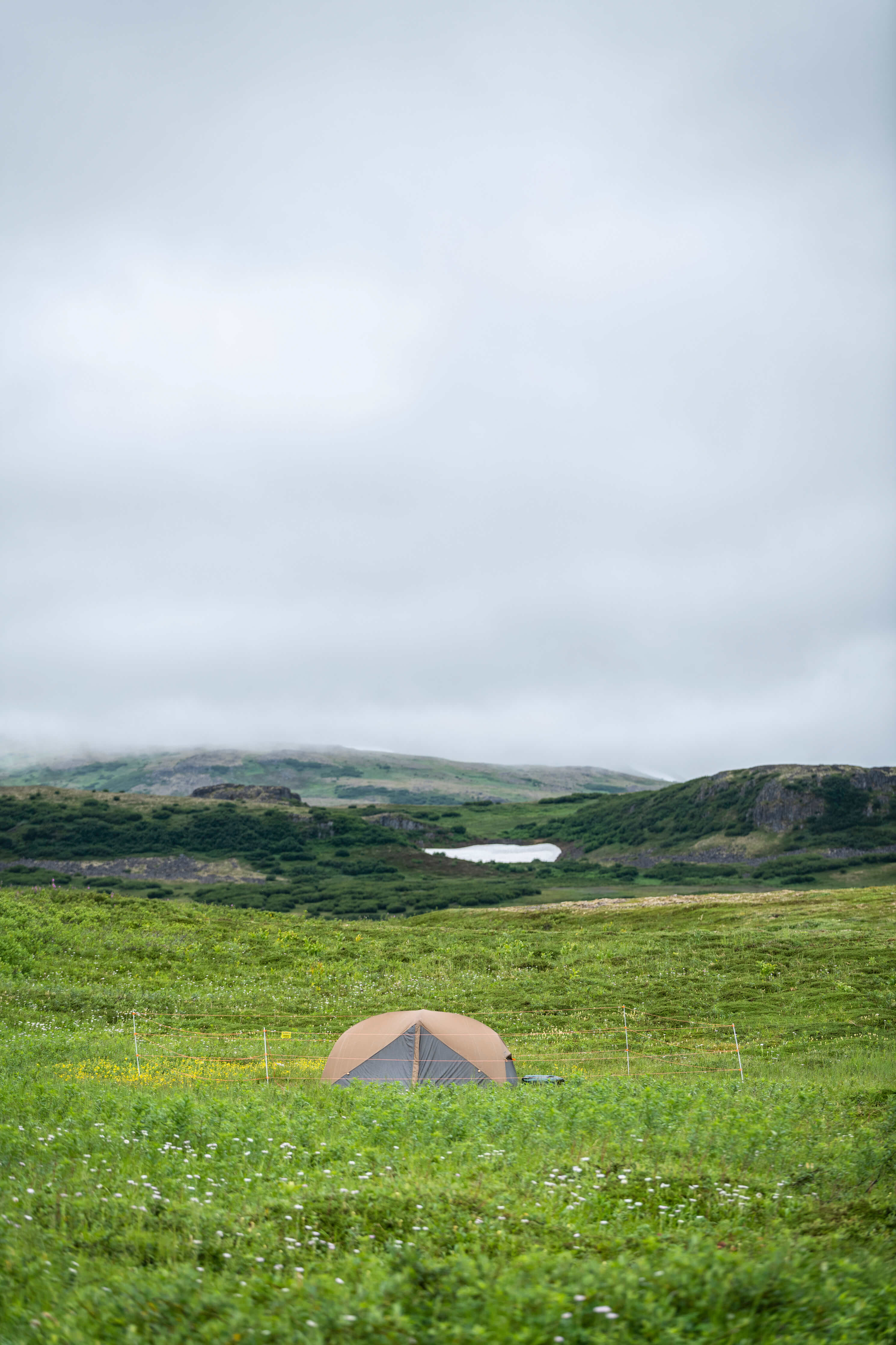 Bearwatch Systems - Electric Bear Fences - Portable and Lightweight - Designed for Campers - Full Set Up - 2
