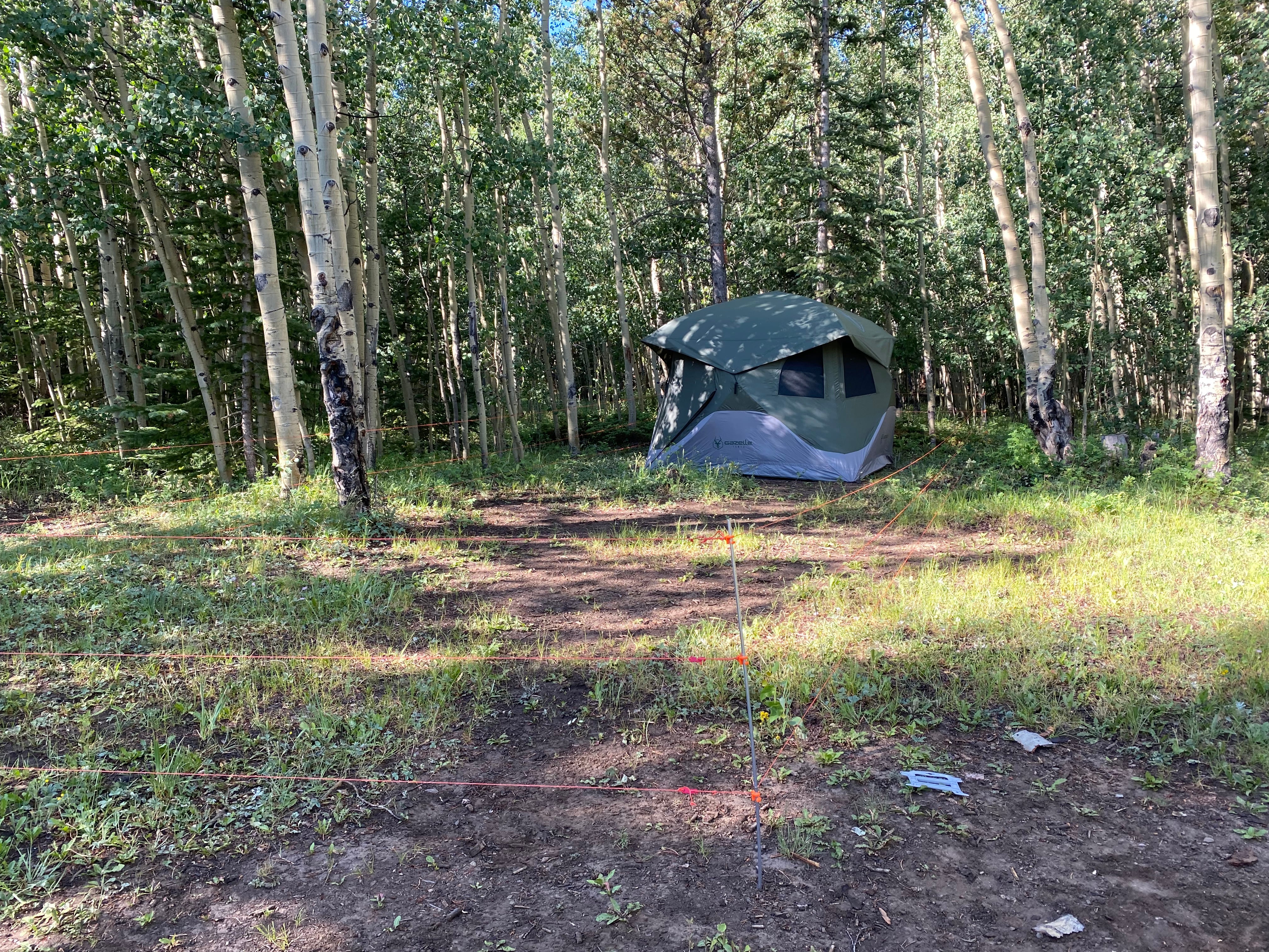 Customer using electric bear fence around large tent - Bearwatch Systems