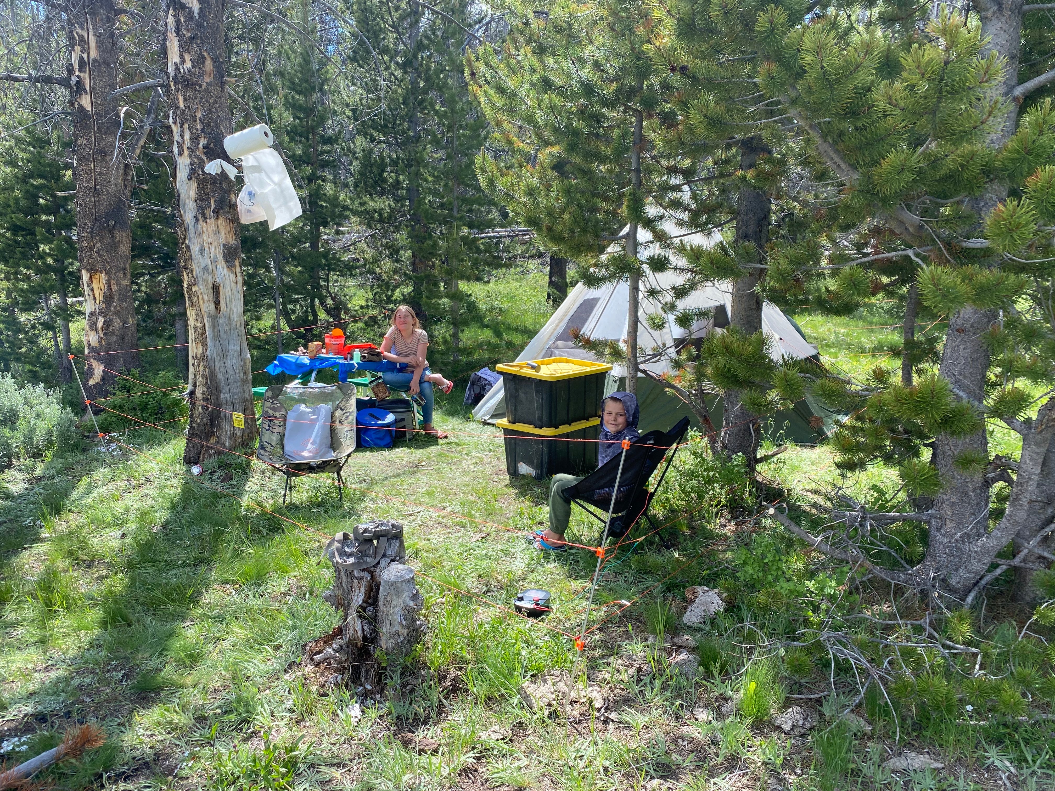 Customer using electric bear fence around small tent - Bearwatch Systems