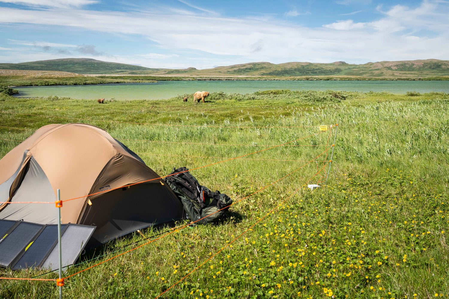 Bear Fence set up around the tent in Alaska powered by Solar Panel