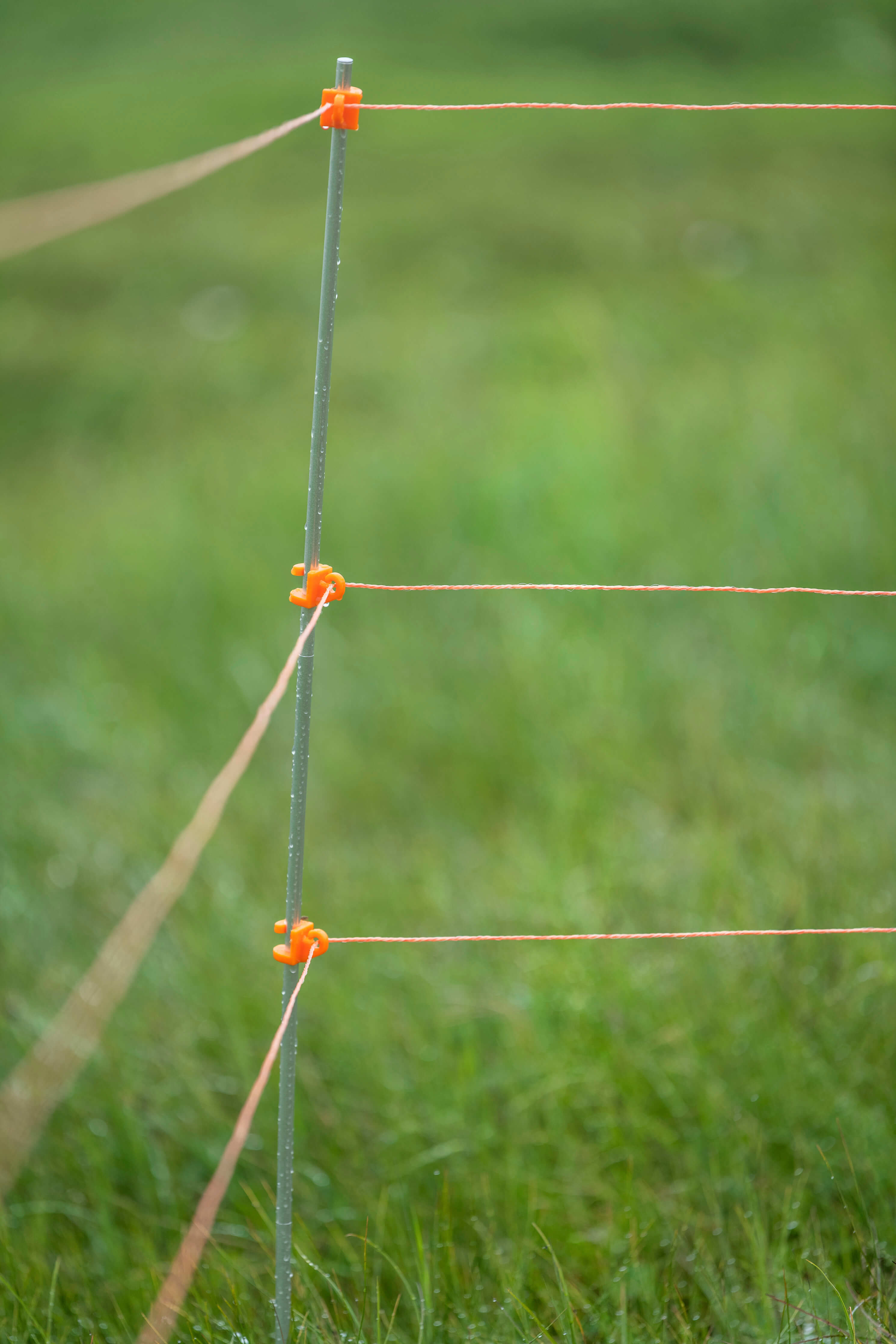 Bearwatch Systems electric fence parts lightweight aluminum poles orange clips orange polywire