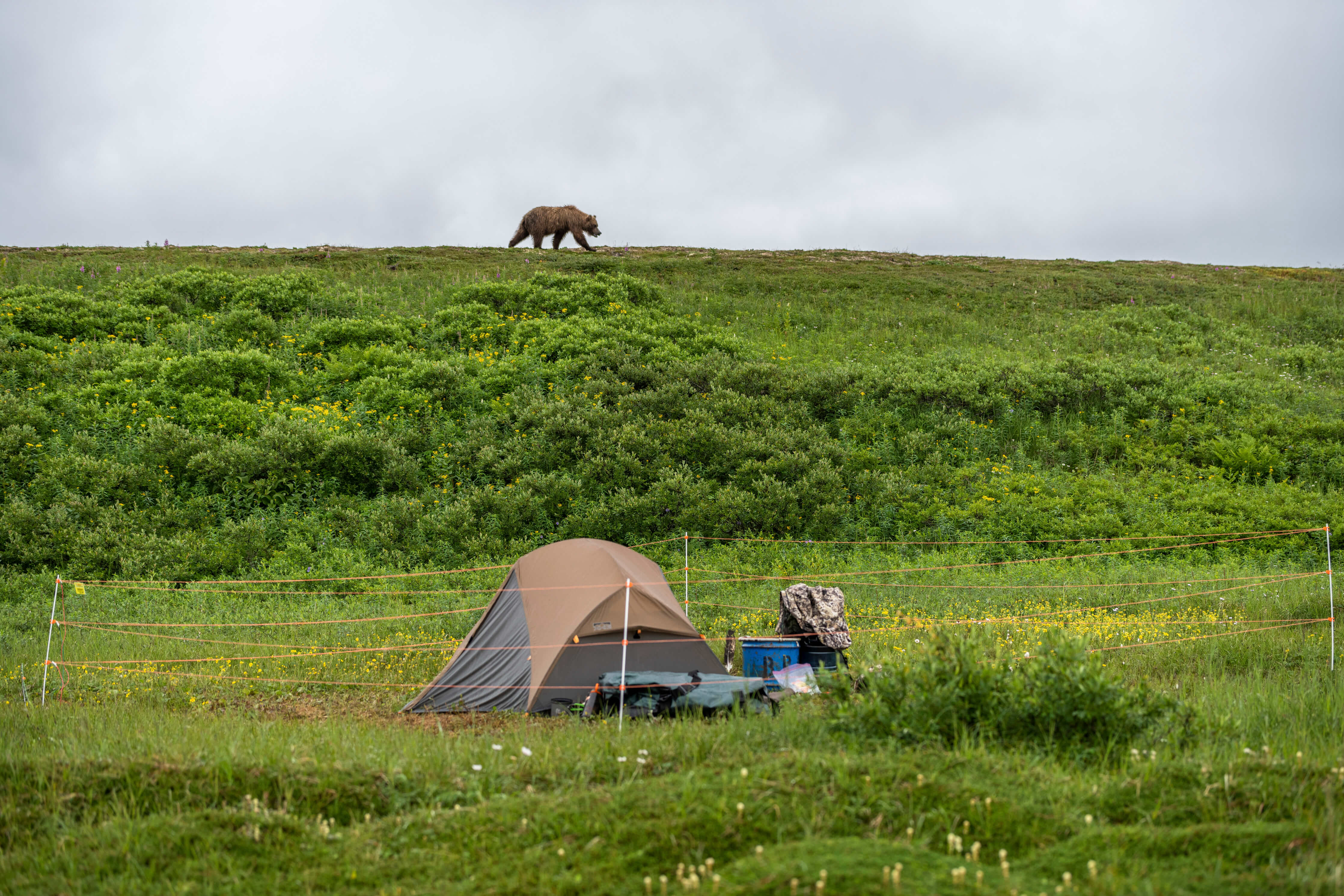 Portable invisible fence clearance camping